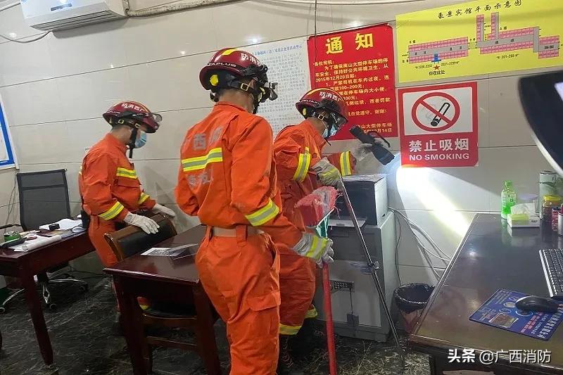 崇左毒蛇,广西崇左毒蛇