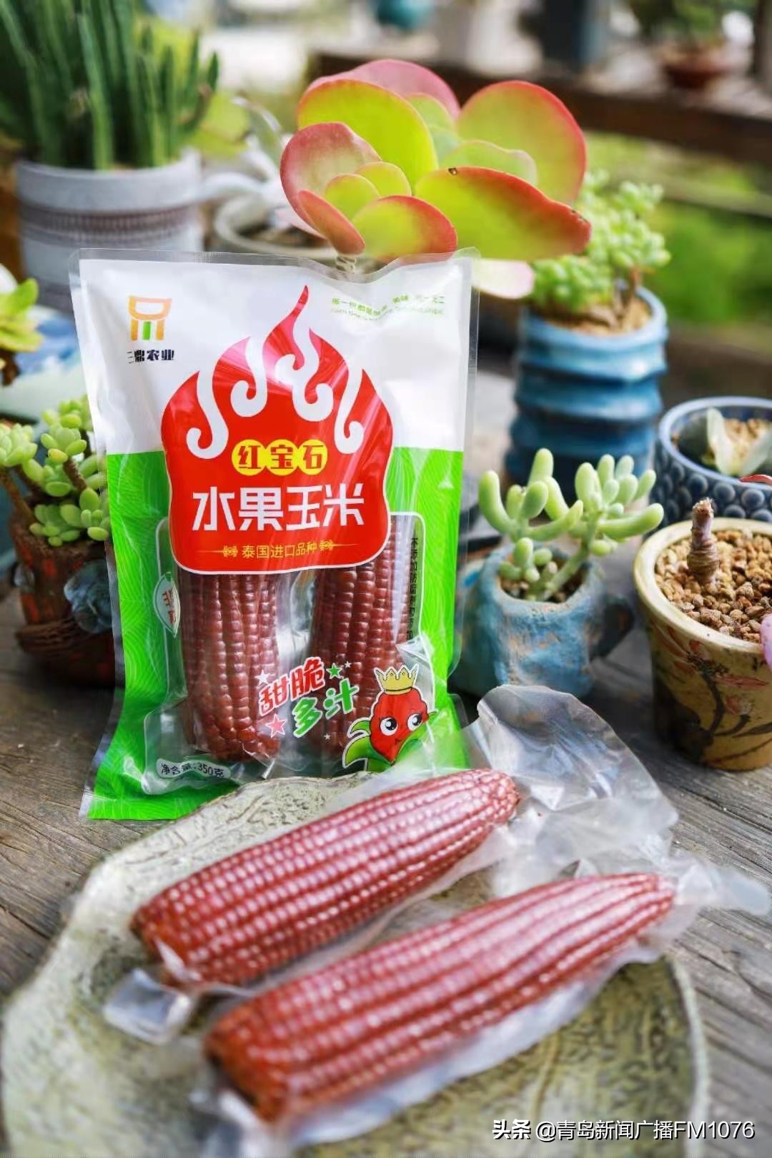 打造千亿农业助推乡村振兴,青岛乡村振兴新政策