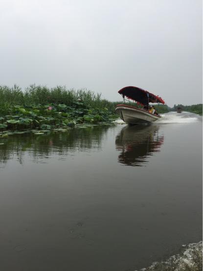 坐船观风景白洋淀一日游,白洋淀一日游语句