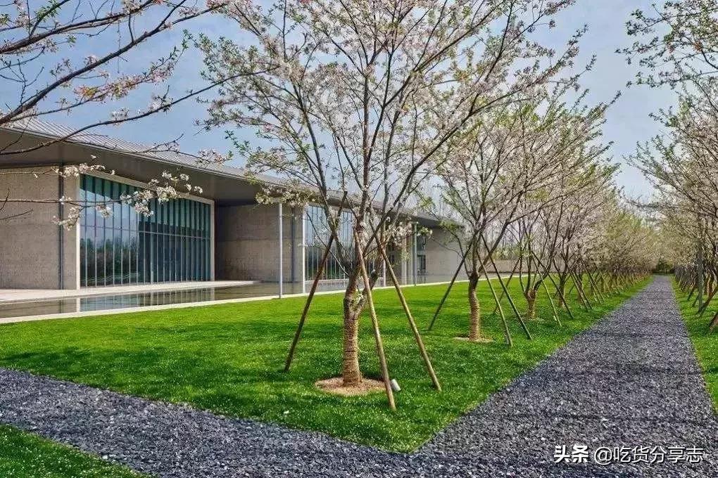 杭州洲际酒店1388元豪华房双床,杭州新开酒店四天三晚