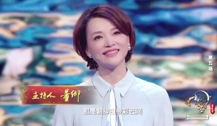 董卿中文有多美完整版,董卿有多好看