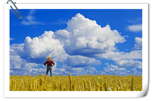 创业失败被列入黑名单怎么解除,创业失败成老赖怎么解决