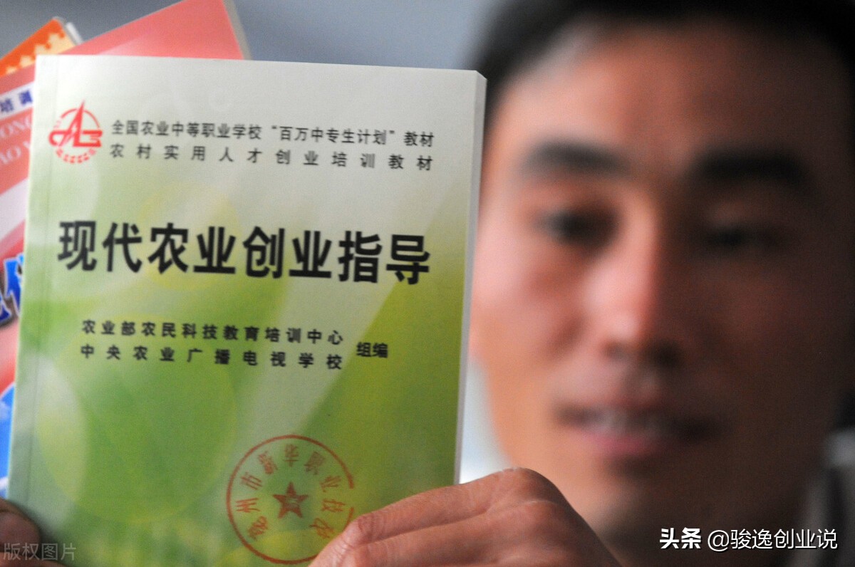 乡村振兴示范城市的四大商机,乡村振兴的四大商机农业投资项目