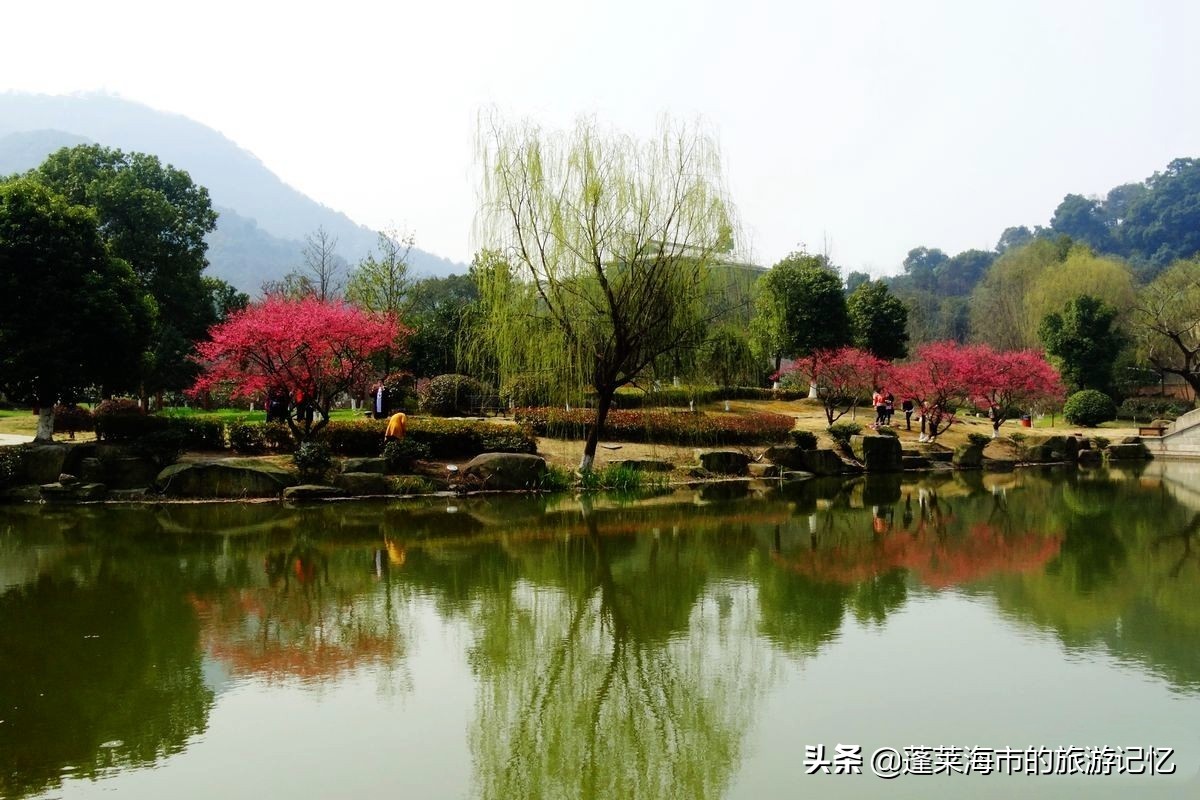 杭州西湖阳春三月美景视频,杭州西湖美景跟古诗里的一样迷人