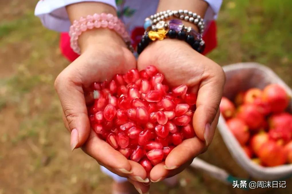 云南突尼斯软籽石榴爆汁不吐籽,甘甜爆汁突尼斯软籽石榴