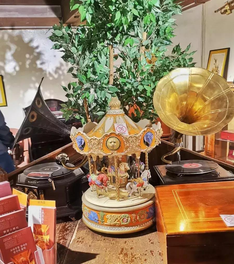 上海雪乡五日游攻略,日本雪乡一日游多少钱