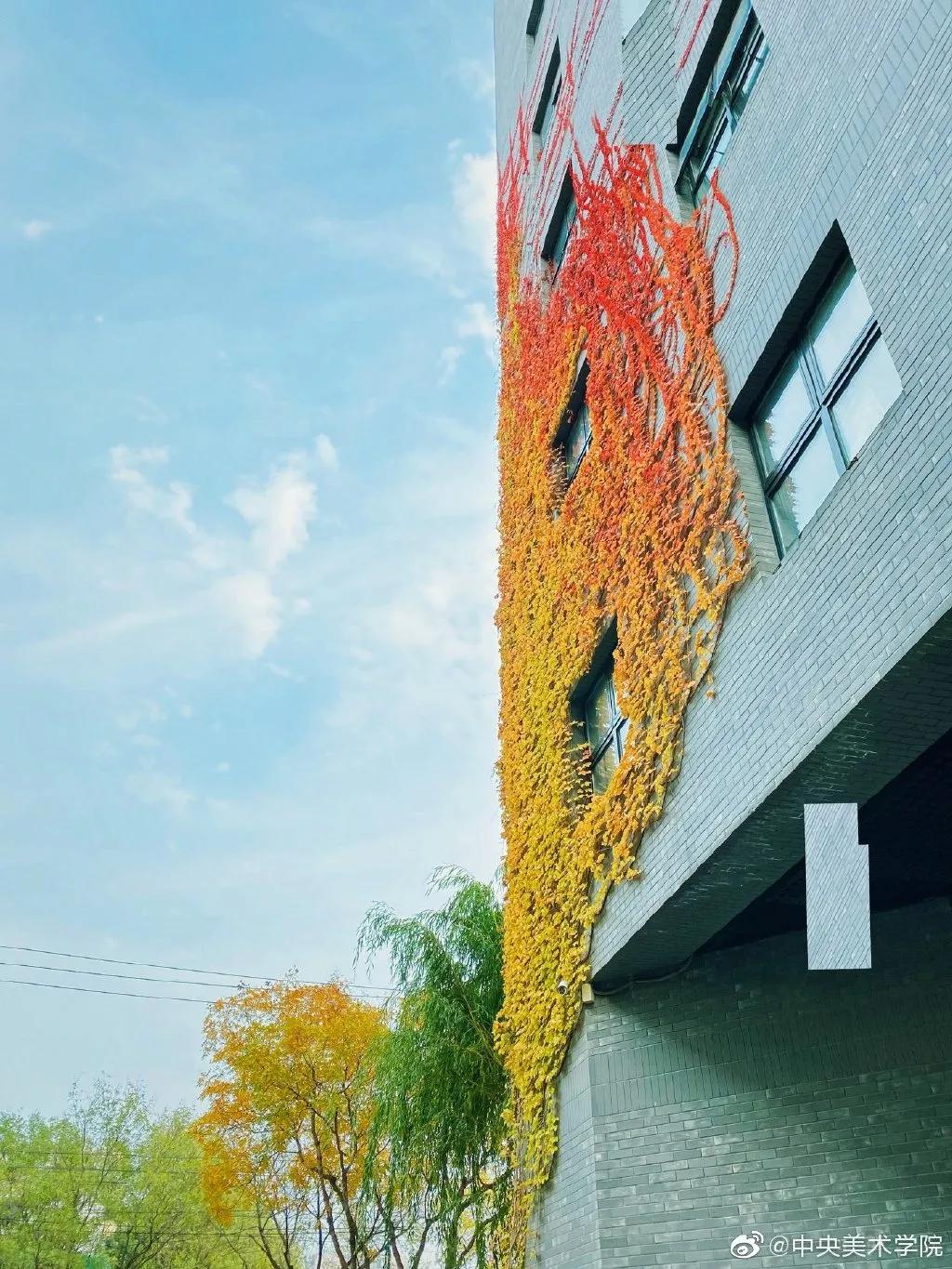 九大美院校园风景,中国九大美院校园风采