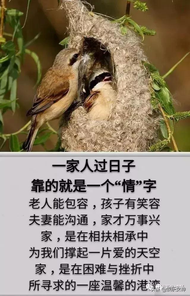 我的家庭相册文章,我的家庭相册细节