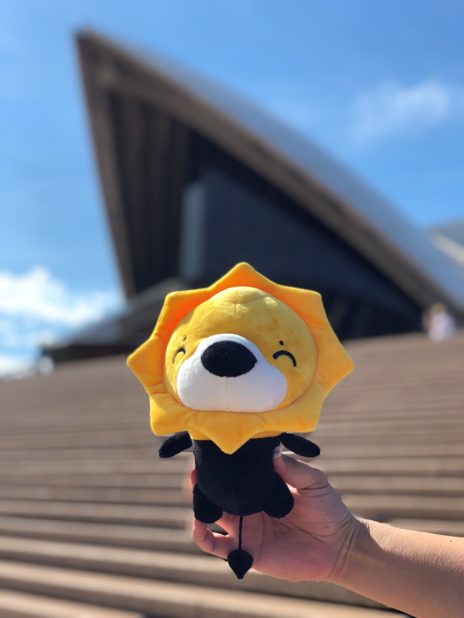 黑五期间畅游世界？这只苏宁国际的小狮子买手做到了