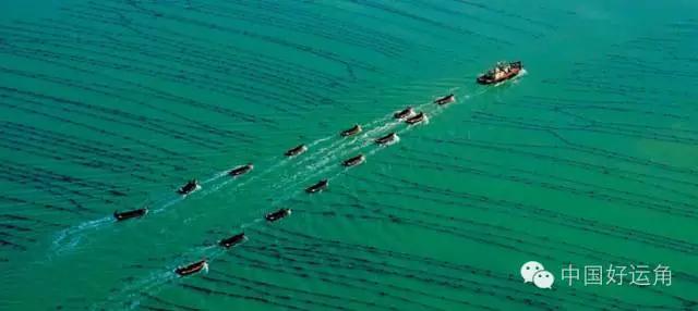 鸿洋神水产科技,威海荣成鸿洋神水产有限公司