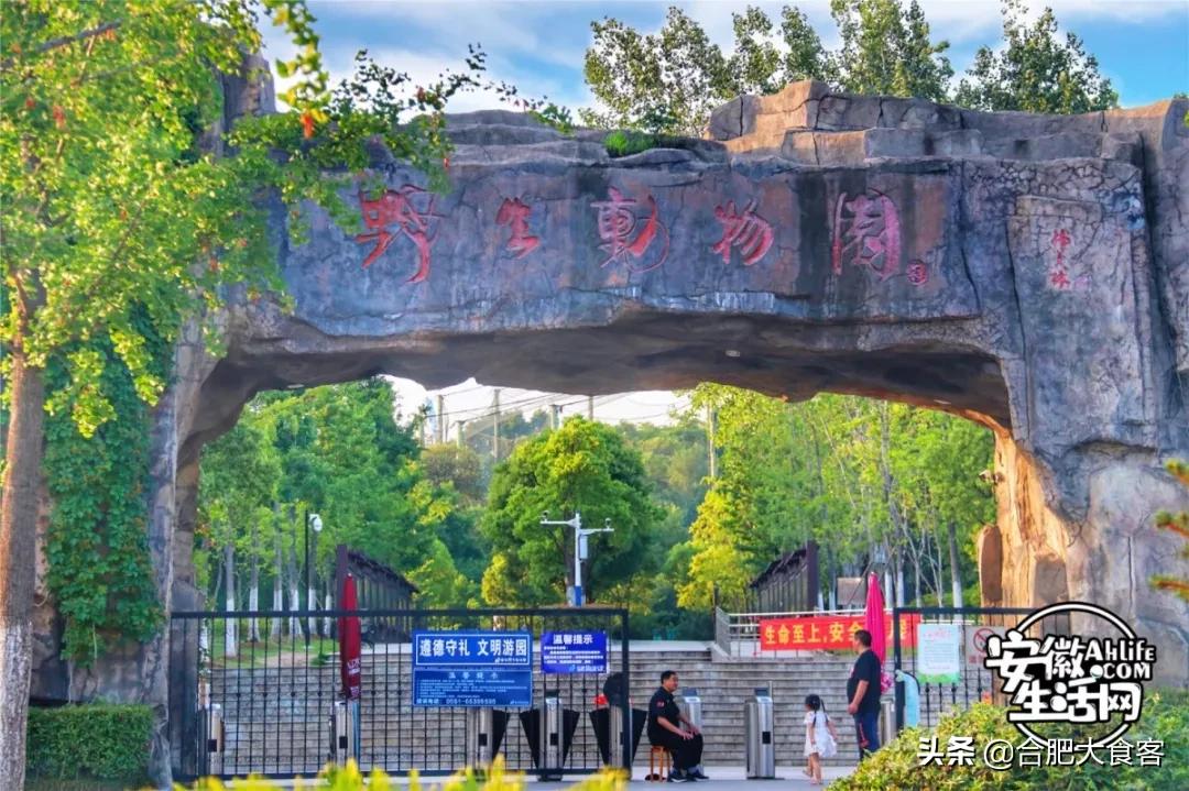 2020年，在这50个地方遇见不一样的合肥