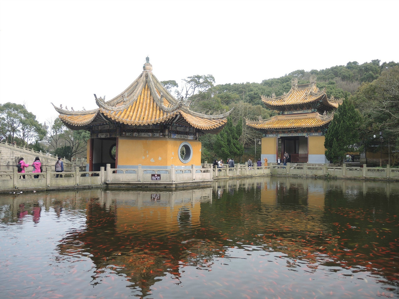 自助旅行普陀山,普陀山旅行