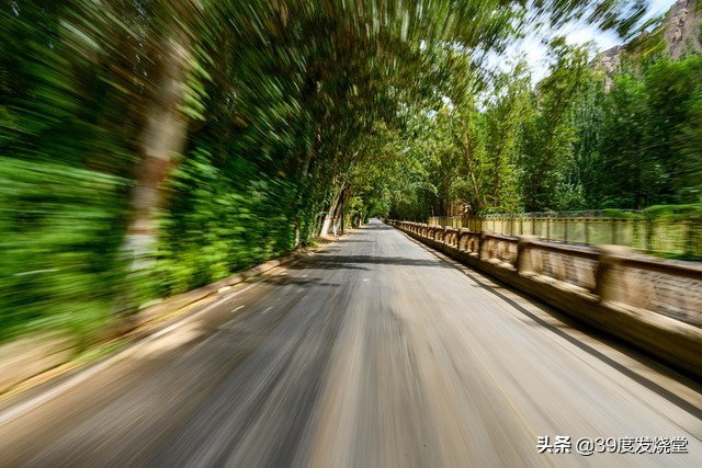 入手尼康z7半年的使用感受怎么样,尼康z7ii专业摄影师实际使用感受