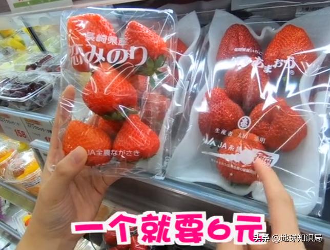 日本西瓜200人民币一个?这背后不为人知的是……|地球知识局
