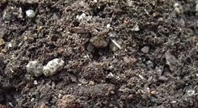 养花种植技术大全及配土,家庭养花如何使用绿沸石配土