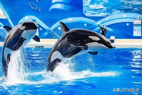 南京出发日照旅游攻略,日照旅行攻略三天两夜