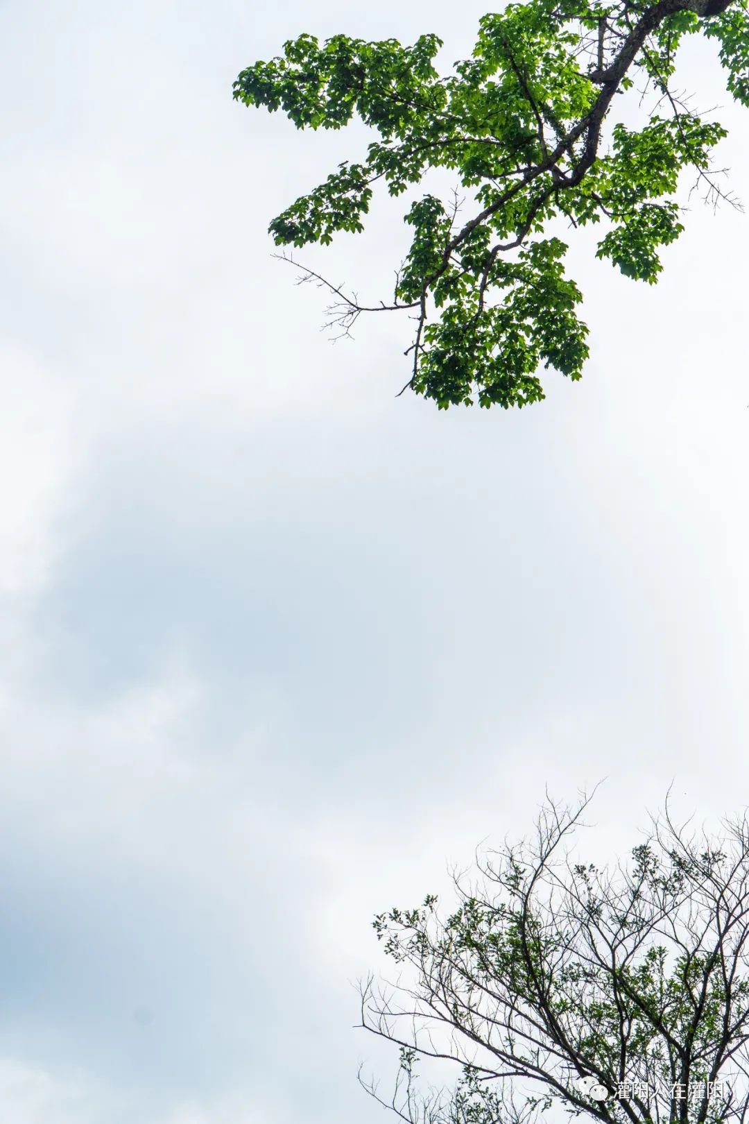 山上有个很大的石碑,桂林灌阳大石头