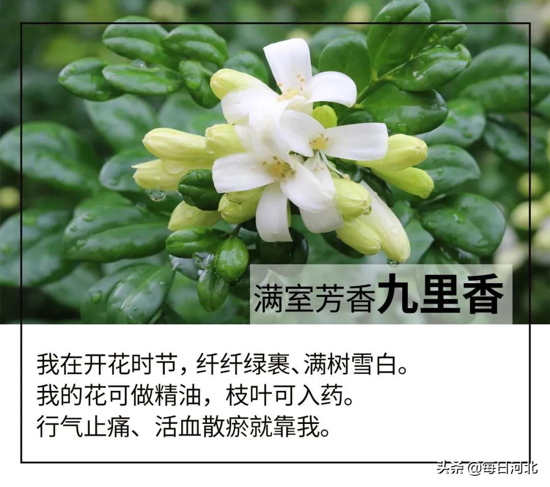 一个温暖又有趣的酒店,选择一个舒适温暖的酒店