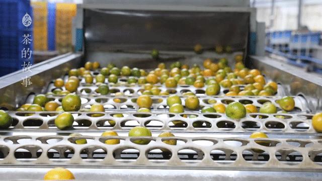 一两陈皮一两金指的是几年陈皮,一两陈皮一两金的出处