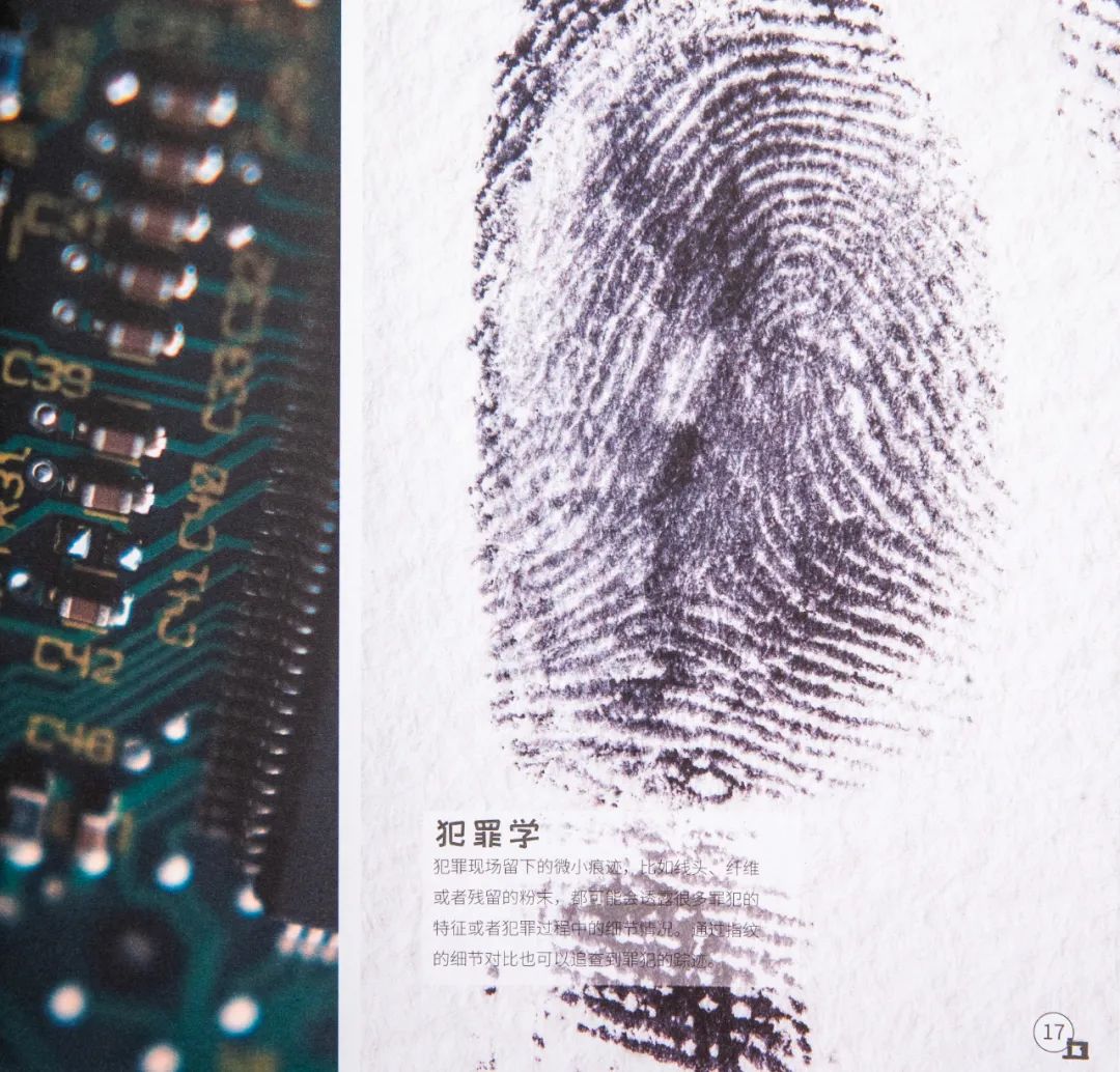 暑假孩子玩手机不如打篮球吧,儿童显微镜放大蚂蚁120倍