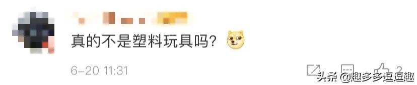 日本发现怪鱼,日本渔民岸边发现什么怪鱼了