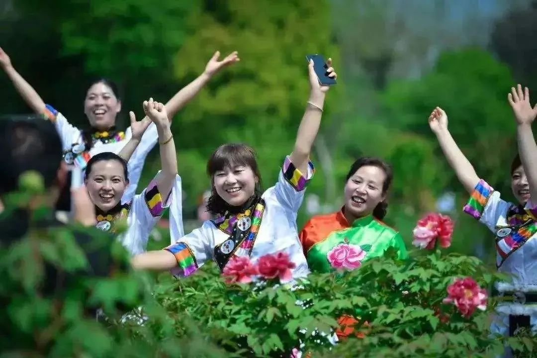 华酝牡丹园紫藤花,华酝牡丹园格桑花