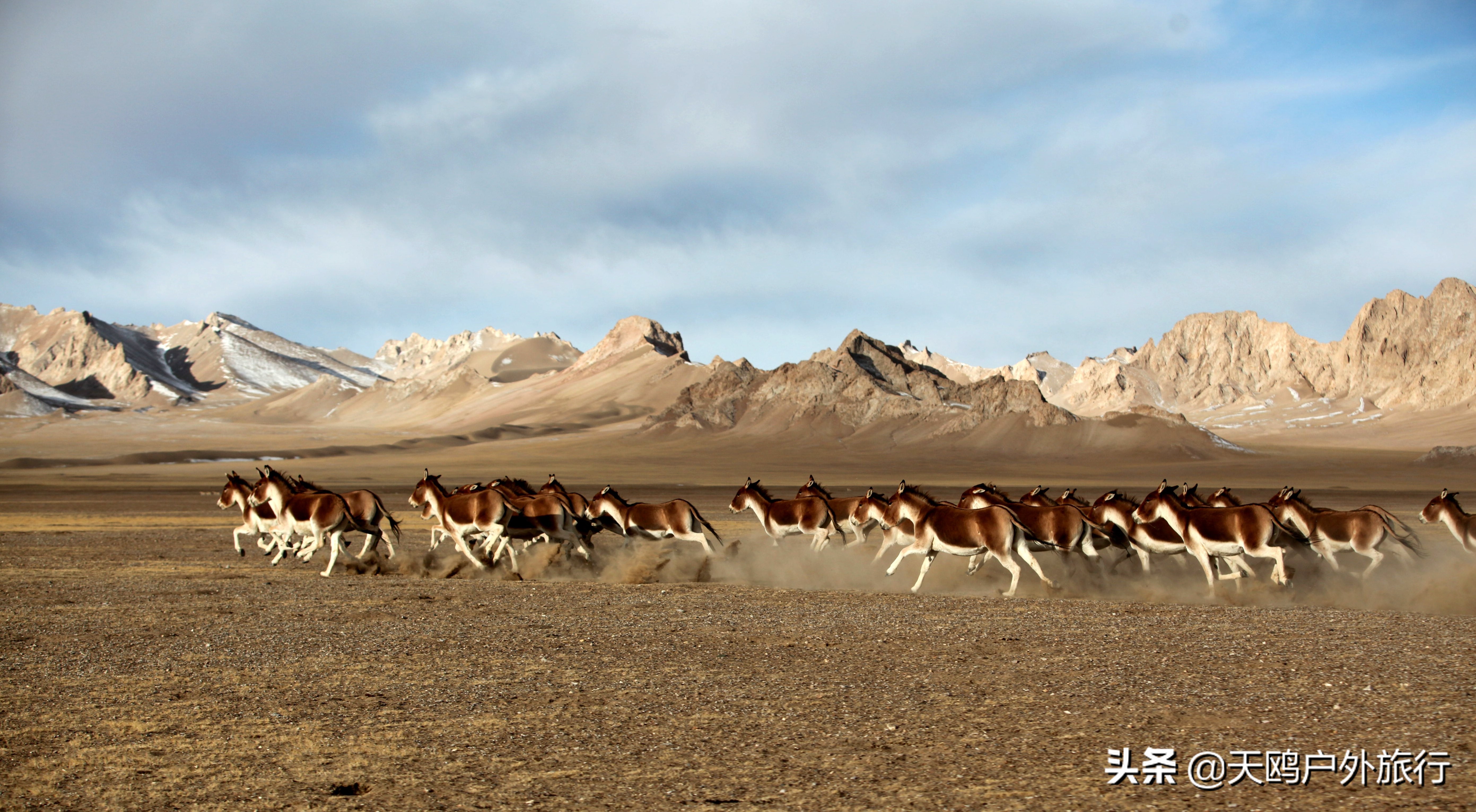 南北疆5-6月自驾最美线路图,说走就走的南北疆自驾旅行