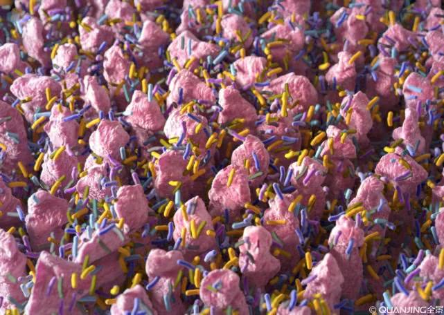 前列腺炎白细胞少许是正常吗,前列腺炎检查有白细胞正常吗