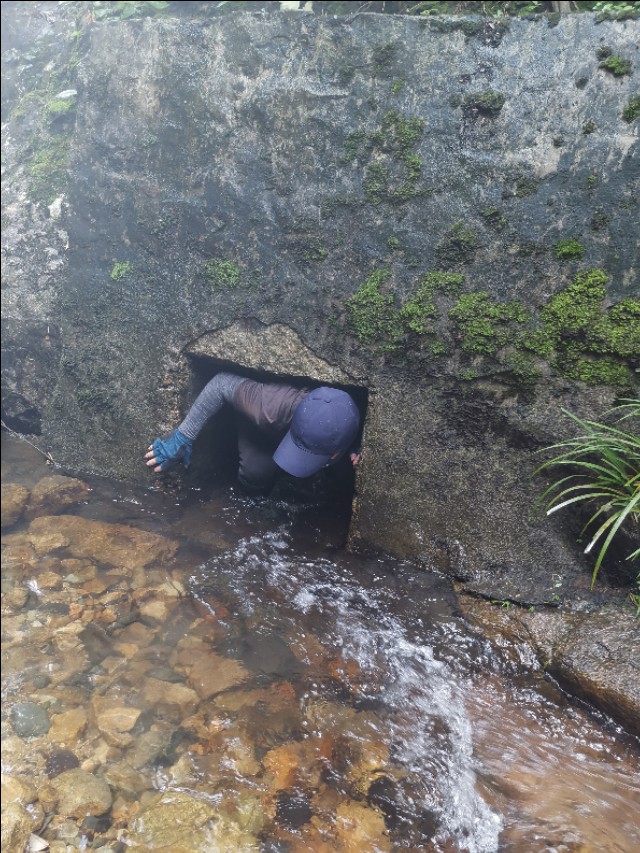龙岩永福古溪村,福建省永福镇古溪村