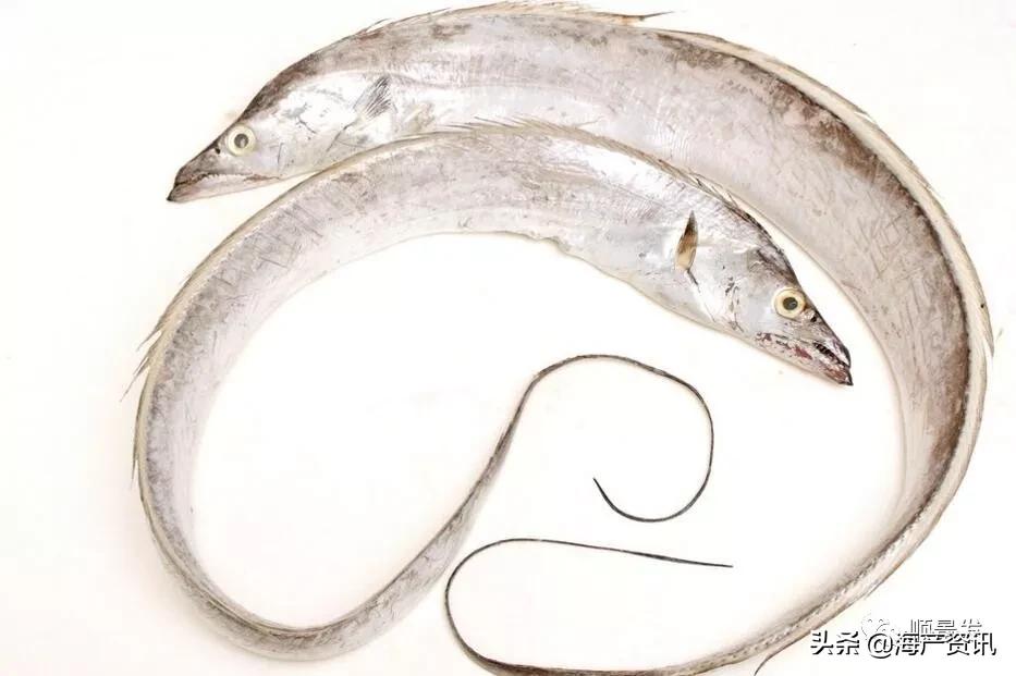 春节必买的海鲜,一年四季海鲜怎么选