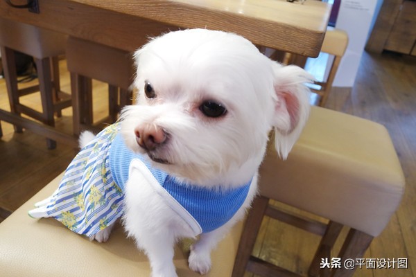 三星samsungnxmini9mm怎么样,samsungnxmini