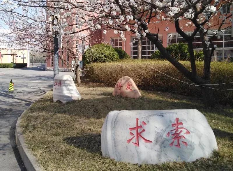天津市瑞景中学前身天津师范学校,天津市高级中等学校