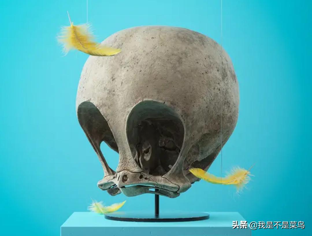 这些千年之后被石化的卡通人物,你能认出几个?