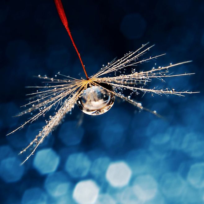 草根创业朱小明,创业天下张志强完整版