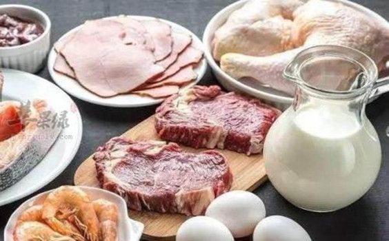 猫咪吃狗粮有哪些危害呢,猫咪喂狗粮有哪些危害