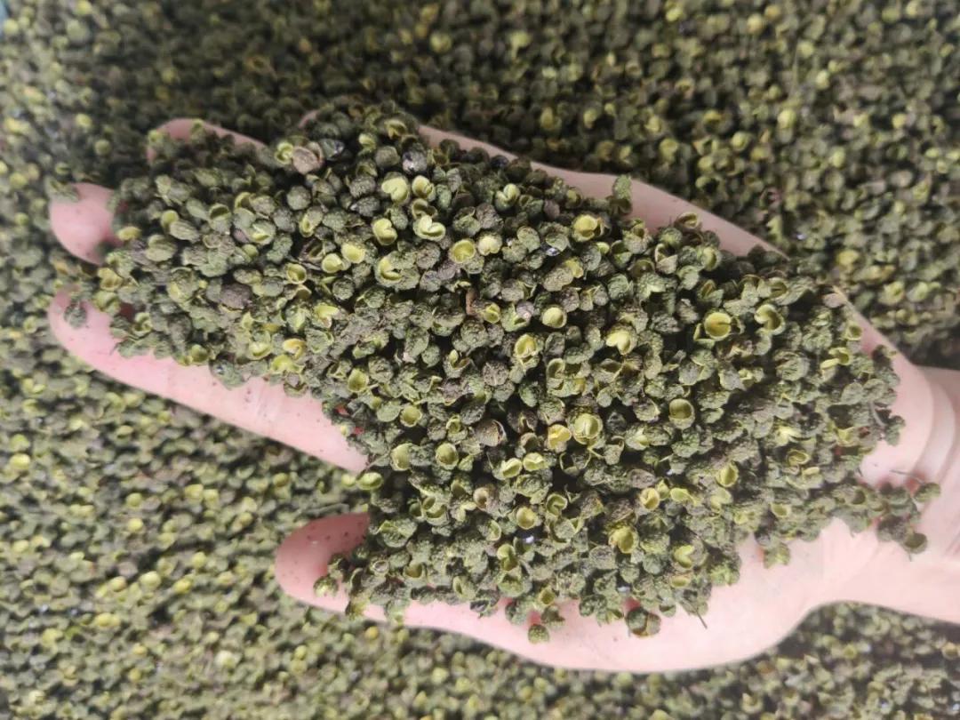 什么是好花椒？什么样的花椒值钱？便宜有好货吗？