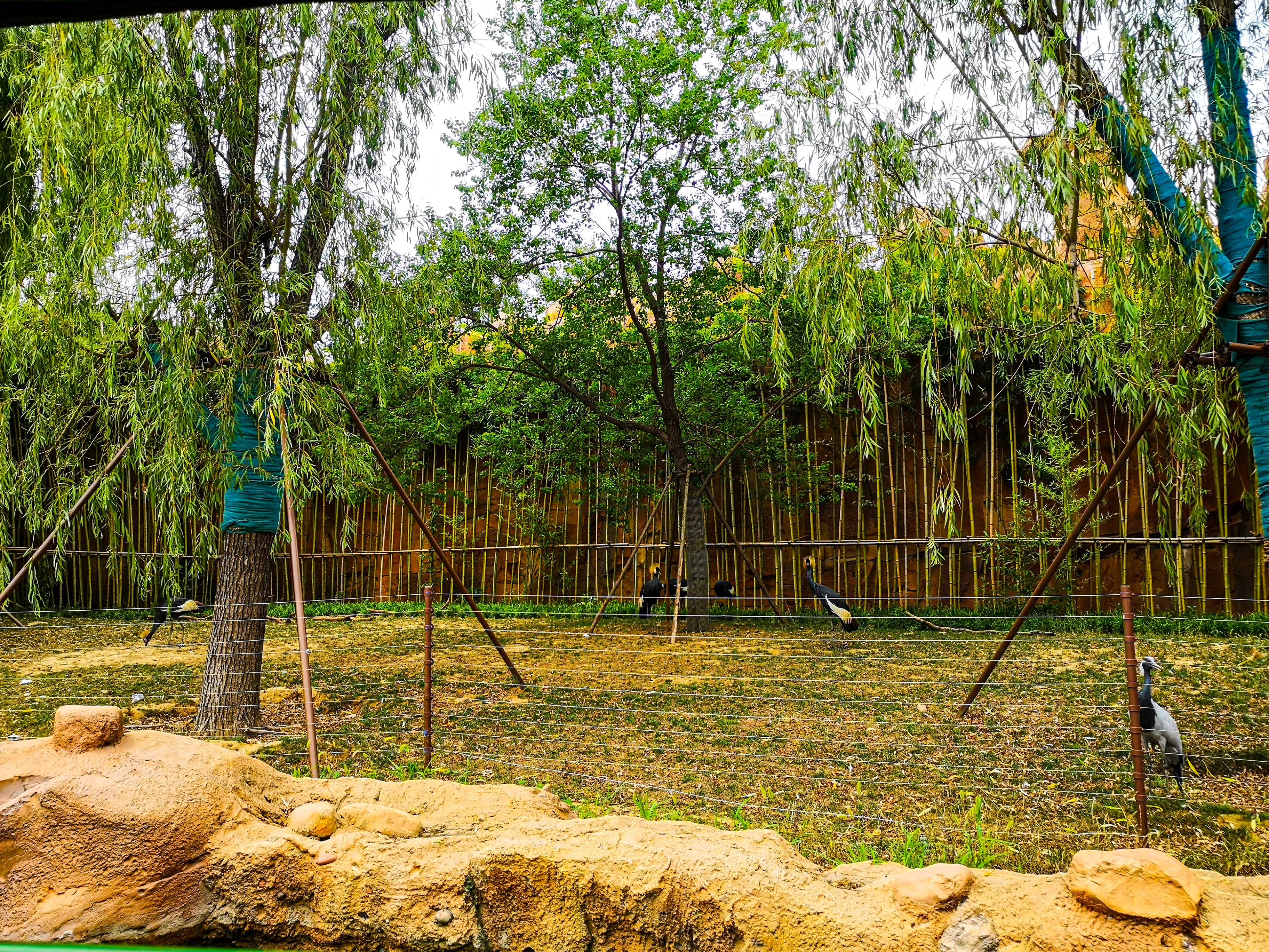 暑期郑州银基动物王国旅游,郑州市区怎么去银基动物王国