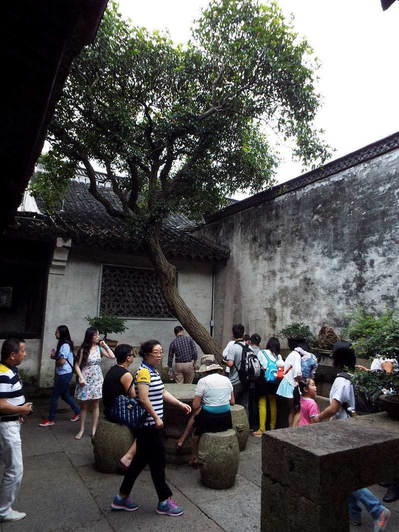 游绍兴东湖鲁迅故居,游绍兴鲁迅故居美景描述