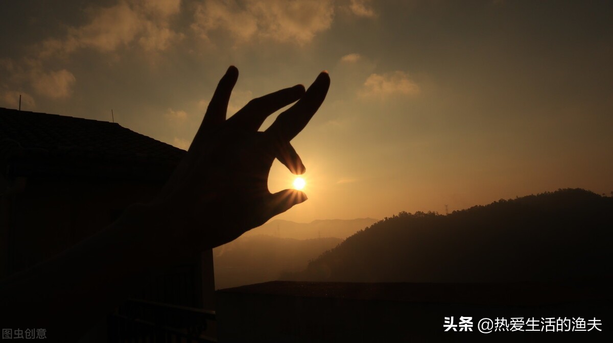 养金鱼的注意事项和饲养方法大全,金鱼饲养的小技巧轻松养好金鱼