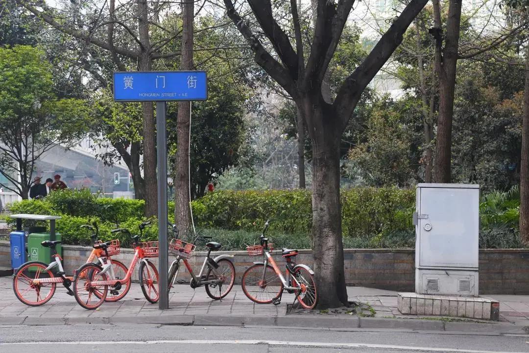 成都街巷志|猜猜母猪湾和猫猫巷在哪儿？