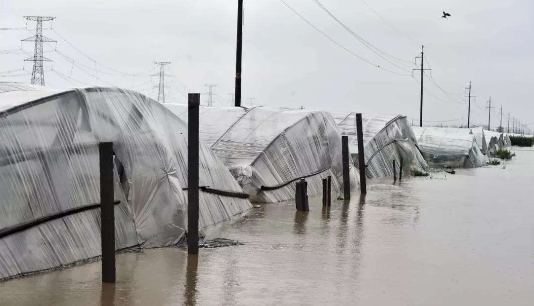 寿光商会,上海山东商会推介会