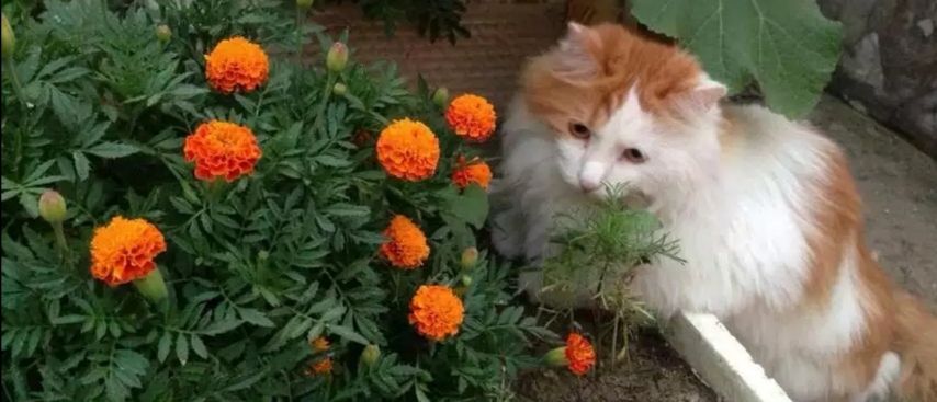 故事：不是最好的丈夫，是最合适的暖男