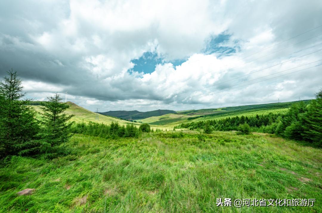 清凉避暑好去处网红打卡圣地,清凉避暑好去处抖音