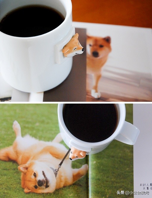 有什么实用的礼物送女朋友,送女朋友什么礼物最有意义排行榜