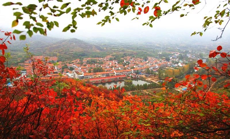 博山红叶谷门票优惠活动,博山十大免费红叶谷