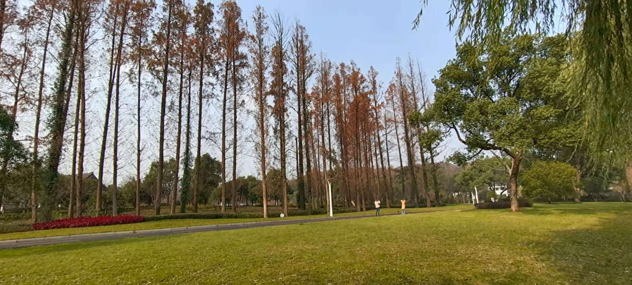 西湖国宾馆周边美景,西湖国宾馆风景