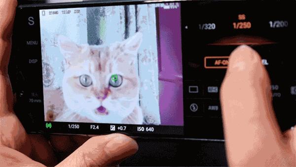 索尼xperia1ii手机评测视频,大师巅峰之作