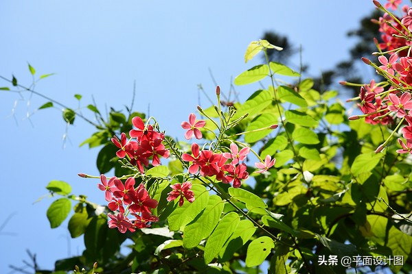 nikond810参数设置,nikond810全自动