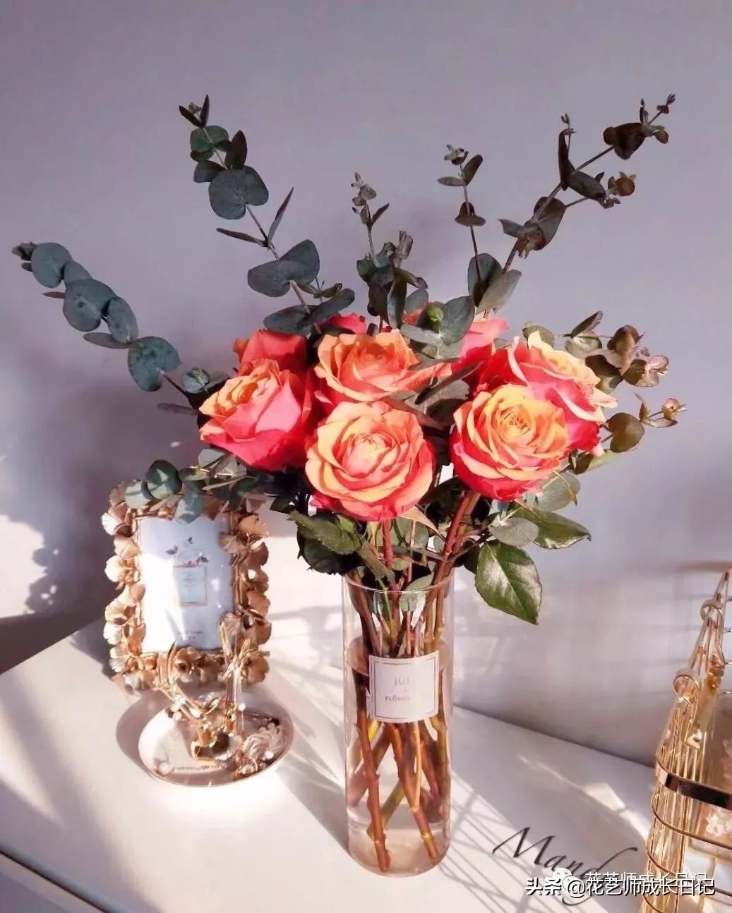 黄颜色的玫瑰是啥品种,浅黄色玫瑰有什么品种