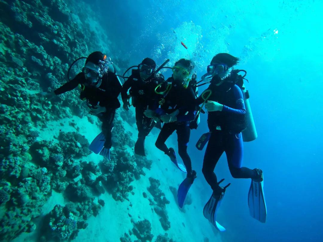 十年后农村女孩逆袭成为女总,一个农村姑娘的十年从乡村到城市